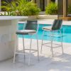 Luft Barstool (Set of 2) White & Green