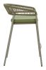 Skye Barstool (Set of 2) Green