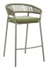 Skye Barstool (Set of 2) Green