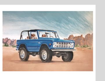 Wall Art Blue Bronco