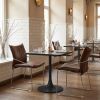 Pola Dining Chair (Set of 2) Brown