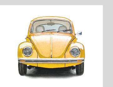 Wall Art Slug Bug