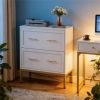 Double drawer filming cabinet, storage cabinet, printer stand essential for office use