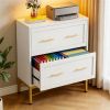 Double drawer filming cabinet, storage cabinet, printer stand essential for office use