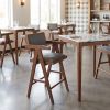 Delhi Counter Stool (Set of 2) Gray & Walnut